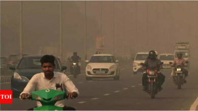 Air quality in ‘severe plus’: GRAP-4 imposed in Delhi-NCR; what is allowed and what is not | India News – Times of India