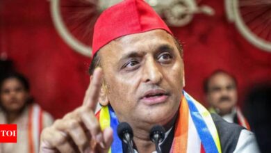 Akhilesh Yadav claims that BJP ‘induced’ Sambhal riots to deviate from EVM issue | India News – Times of India