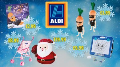 Aldi’s toy event is BACK with loads of gifts for kids – prices start from £1.29