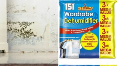 Amazon shoppers are raving about the £8 purchase that will protect your clothes from mould