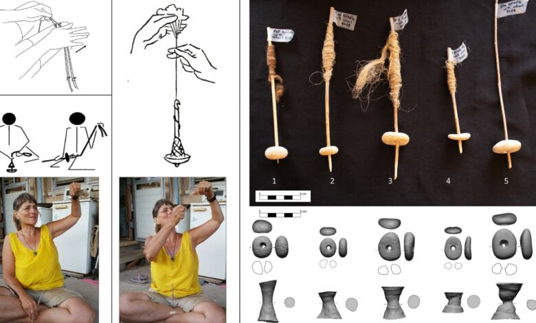 Ancient pebbles in Israel indicate the earliest form of wheel technology