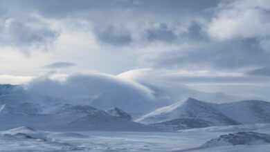 Antarctic ozone hole could fully recover by 2066, new research shows