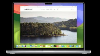 Apple releases Safari Technology Preview 208 with these bug fixes