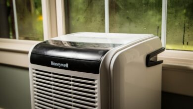 Best dehumidifiers for 2024