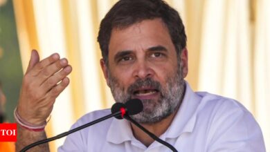 ‘Biased attitude of hapless state government’: Rahul Gandhi on Sambhal violence | India News – Times of India