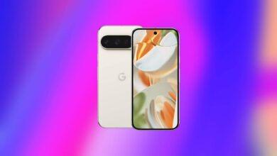 Black Friday brings Google Pixel 9 to its lowest price yet with 0 off