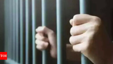 CIK detains Kashmiri student for ‘glamorizing terrorism’ | India News – Times of India