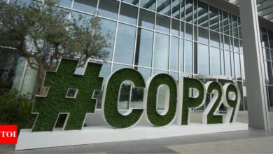 COP29: India calls for ‘no strings attached’ climate finance, new draft text fails to address key concerns – Times of India