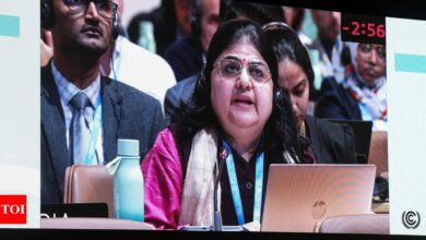 COP29: India champions the cause of the global South in historic move of rejecting climate finance outcome | India News – Times of India