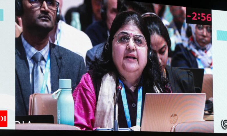 COP29: India champions the cause of the global South in historic move of rejecting climate finance outcome | India News – Times of India