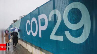 COP29: India opposes EU border tax plan on carbon-intensive goods and seeks bold action from rich countries | India News – Times of India