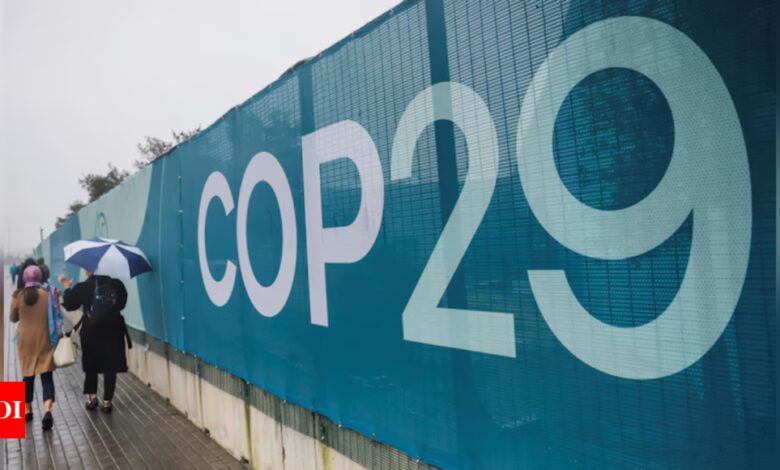 COP29: India opposes EU border tax plan on carbon-intensive goods and seeks bold action from rich countries | India News – Times of India