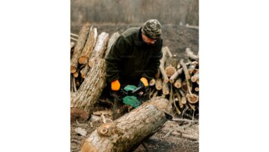 Can burying wood help reduce carbon emissions? This old logbook suggests so.