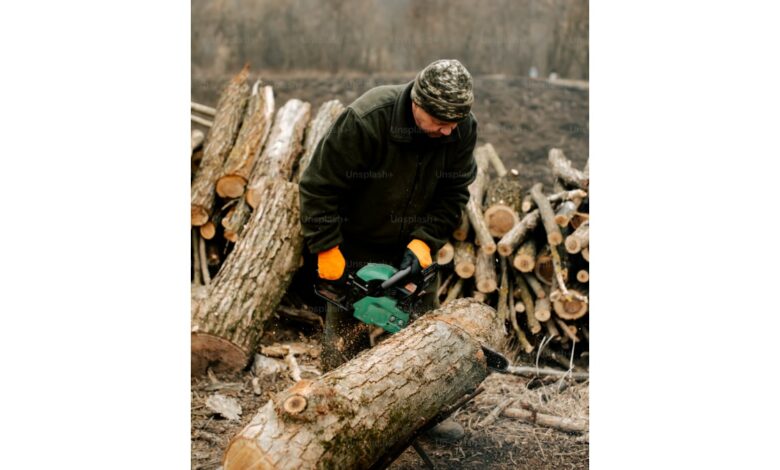 Can burying wood help reduce carbon emissions? This old logbook suggests so.