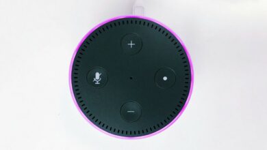 Can voice assistants really combat loneliness among the elderly?