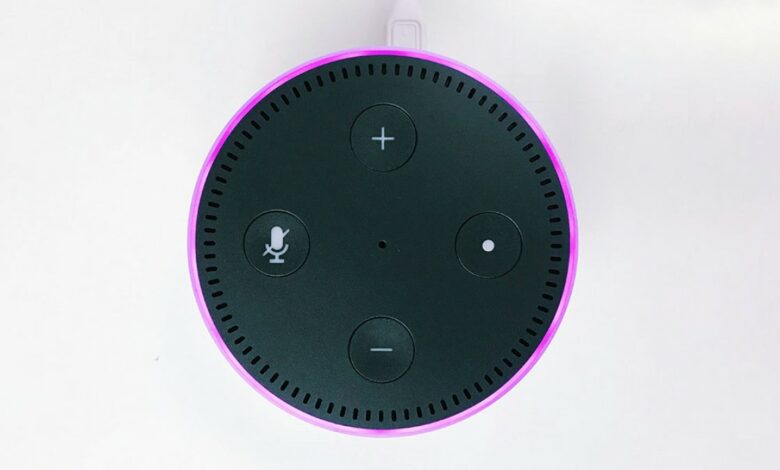 Can voice assistants really combat loneliness among the elderly?