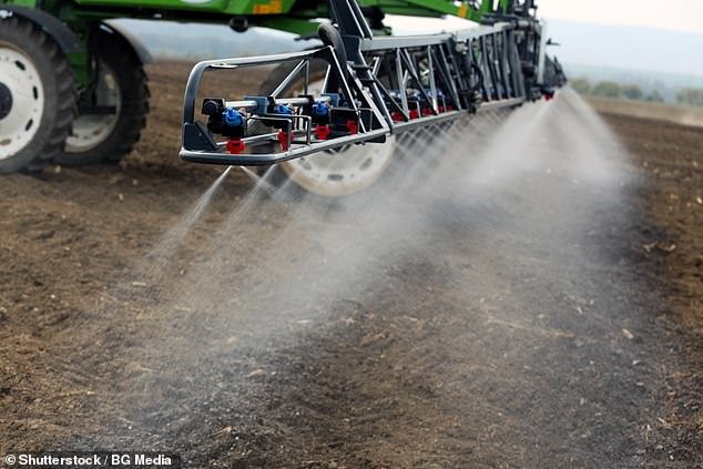 Cancer, which affects one in eight men, has been linked to twenty pesticides for the first time. These are the foods most at risk