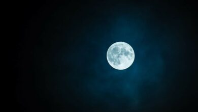 Catch the Beaver Moon on November 15, 2024: the last super moon of the year!