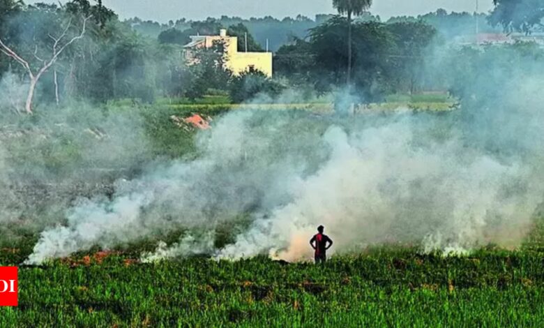 Center doubles punishment for stubble burning | India News – Times of India