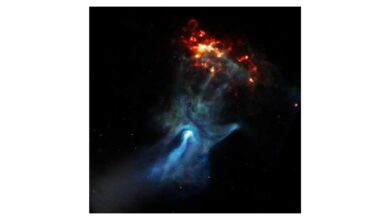 Chandra X-ray Observatory Spots Unusual Knots in Black Hole Jets