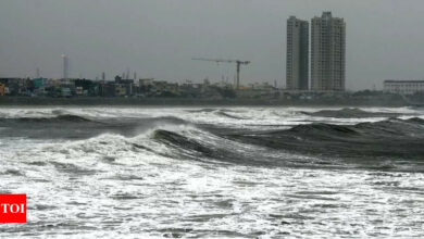 Chennai braces for Cyclone Fengal | India News – Times of India