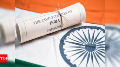 Constitution Day: Who were members of the Drafting Committee of the Indian Constitution | India News – Times of India