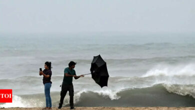 Cyclone Fengal: Heavy rains forecast in southern parts of Andhra Pradesh | India News – Times of India