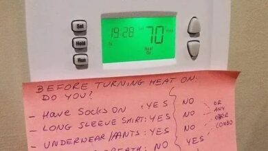 Dad creates a cruel flowchart to keep the family from turning up the thermostat