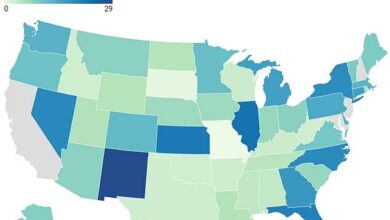 Deep Red State Is America’s Surprising Abortion Hotspot, Despite Overturning Roe V Wade