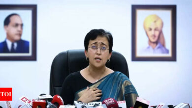 Defamation case: Delhi court stays proceedings against Delhi CM Atishi, next hearing on December 2 | India News – Times of India