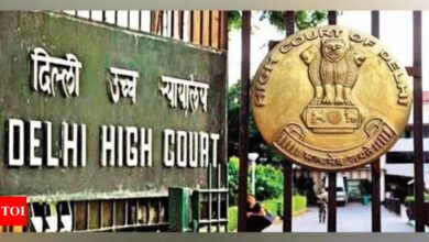 ‘Delhi bridge collapses’: HC proposes CBI probe over safety concerns | India News – Times of India