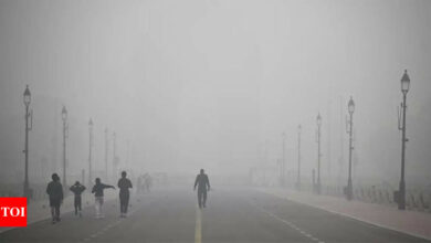 Delhi’s air pollution crisis discussed on the sidelines of COP29 | India News – Times of India