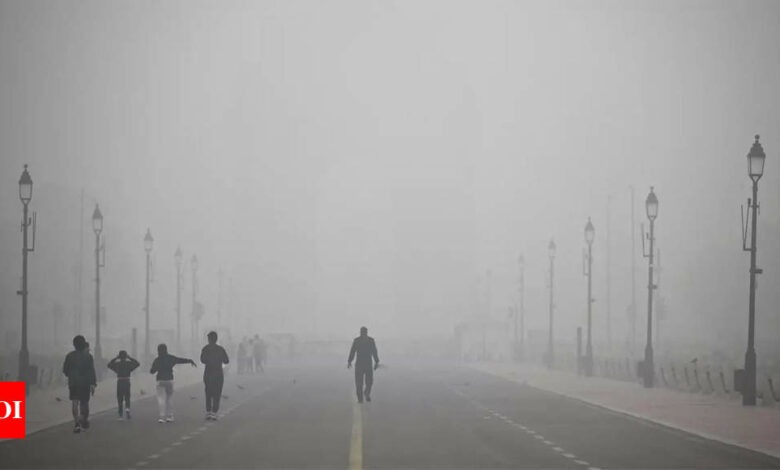 Delhi’s air pollution crisis discussed on the sidelines of COP29 | India News – Times of India