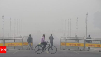 Delhi’s second worst ever flying day, SC says Grap-4 to continue until further orders | India News – Times of India