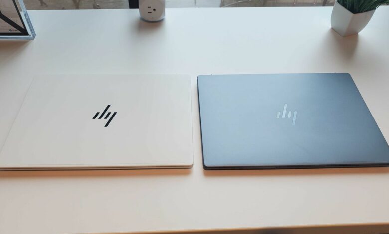 Dell and HP report that sales are increasing, but the outlook may not be so rosy