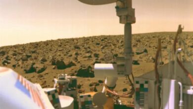 Did NASA’s Viking Mission Accidentally Hurt Life on Mars?