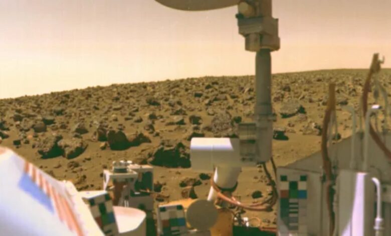 Did NASA’s Viking Mission Accidentally Hurt Life on Mars?