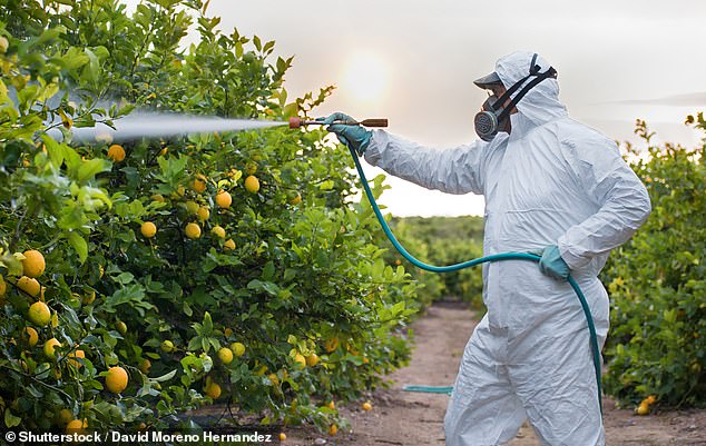 Doctors think they’ve solved the mystery of rising bowel cancer rates in young people – it could be in your fruit and vegetable section