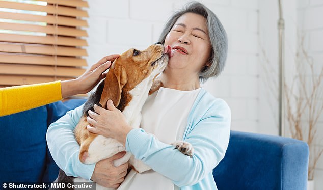 Does cancer have a smell? Pet owners tell amazing stories of dogs detecting diseases and saving their lives