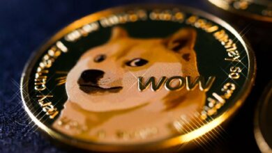 Dogecoin Foundation is seeking funding to develop ‘Dogebox’