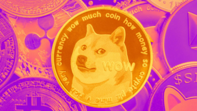 Dogecoin Rises After Elon Musk News. What’s going on with this popular meme coin?