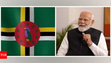 Dominica presents Prime Minister Modi with its highest civilian award | India News – Times of India