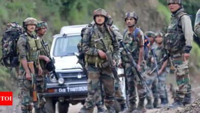 Drones and dogs help search Kishtwar forests for Jaish terrorists | India News – Times of India