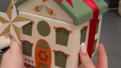 Dunelm launches ‘best’ £10 Christmas buy and it’s the perfect Secret Santa gift