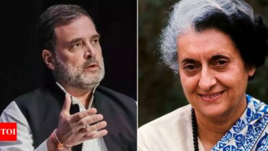 ‘Example of courage and love’: Rahul Gandhi shares childhood photo with grandmother Indira Gandhi on her birth anniversary | India News – Times of India