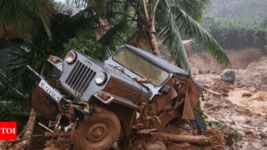 Extreme weather events have claimed more than 3,200 lives in the first nine months of this year, with Kerala recording the highest number of fatalities: CSE Report | India News – Times of India