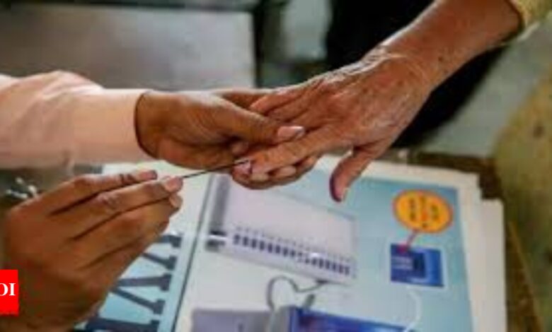 Fractions, five operations cannot keep man away from the voting booth | India News – Times of India