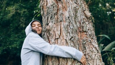 From a ‘love drug’ to a mental boost – 5 health benefits of hugging trees