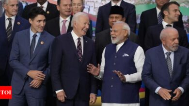 G20 statement avoids criticism of Russia and omits prime minister’s message ‘no era for war’ | India News – Times of India