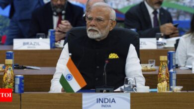 G20 will work to reform global institutions: PM Modi | India News – Times of India